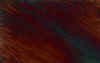 CP_lg  Copper Patina.jpg (48554 bytes)